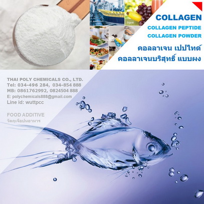 Collagen Peptide