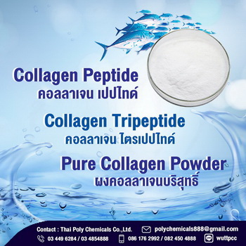 Collagen Powder
