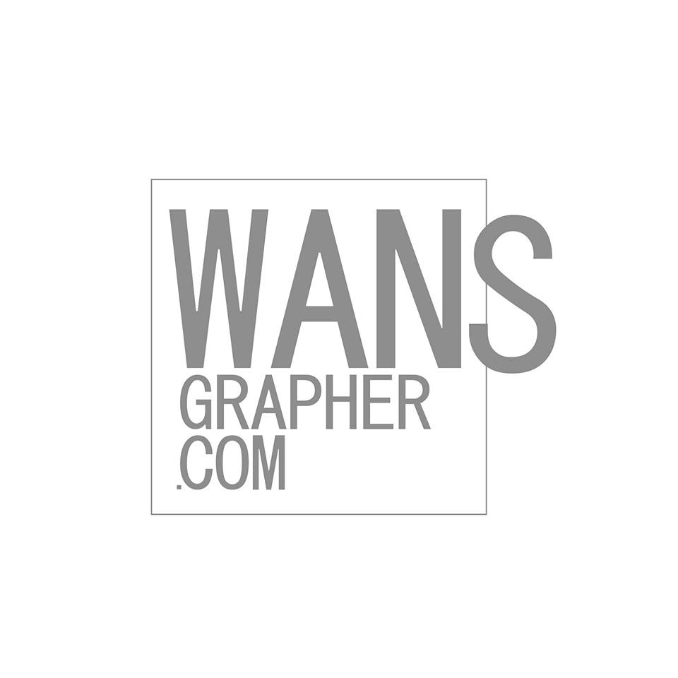 wansmarioman