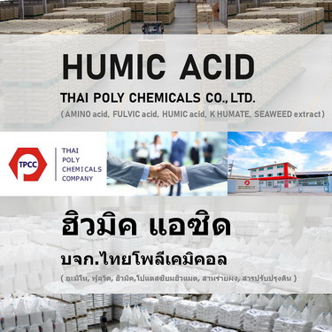 ลงประกาศฟรี ลงประกาศ  เพิ่มเว็บ  โฆษณาฟรี  ประกาศซื้อขายฟรีี  โปรโมทเว็บ ลงโฆษณาฟรี โปรโมทเว็บฟรี ประกาศซื้อขาย เพิ่มเว็บฟรี