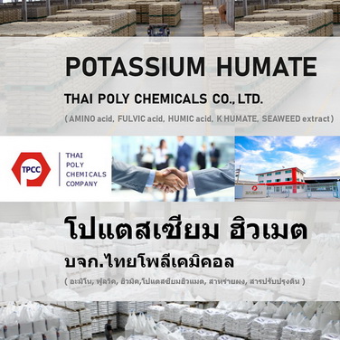 ลงประกาศฟรี ลงประกาศ  เพิ่มเว็บ  โฆษณาฟรี  ประกาศซื้อขายฟรีี  โปรโมทเว็บ ลงโฆษณาฟรี โปรโมทเว็บฟรี ประกาศซื้อขาย เพิ่มเว็บฟรี