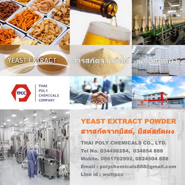 Yeast extract powder
