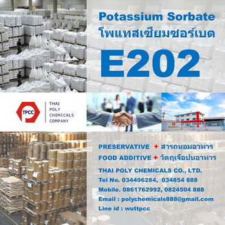 ลงประกาศฟรี ลงประกาศ  เพิ่มเว็บ  โฆษณาฟรี  ประกาศซื้อขายฟรีี  โปรโมทเว็บ ลงโฆษณาฟรี โปรโมทเว็บฟรี ประกาศซื้อขาย เพิ่มเว็บฟรี