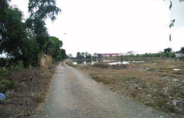ที่ดิน ลำลูกกา คลอง 12
