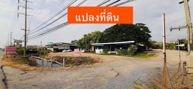 ลงประกาศฟรี ลงประกาศ  เพิ่มเว็บ  โฆษณาฟรี  ประกาศซื้อขายฟรีี  โปรโมทเว็บ ลงโฆษณาฟรี โปรโมทเว็บฟรี ประกาศซื้อขาย เพิ่มเว็บฟรี