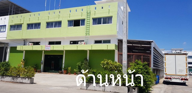 ลงประกาศฟรี ลงประกาศ  เพิ่มเว็บ  โฆษณาฟรี  ประกาศซื้อขายฟรีี  โปรโมทเว็บ ลงโฆษณาฟรี โปรโมทเว็บฟรี ประกาศซื้อขาย เพิ่มเว็บฟรี