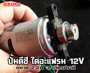ปั๊ม DC 12V