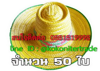 หมวกพลาสติกสาน