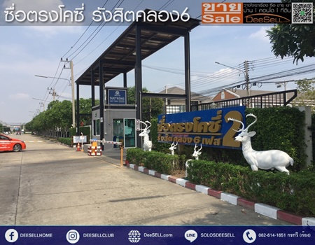 ลงประกาศฟรี ลงประกาศ  เพิ่มเว็บ  โฆษณาฟรี  ประกาศซื้อขายฟรีี  โปรโมทเว็บ ลงโฆษณาฟรี โปรโมทเว็บฟรี ประกาศซื้อขาย เพิ่มเว็บฟรี