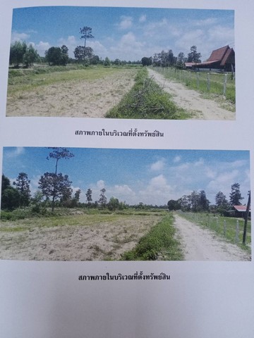 ลงประกาศฟรี ลงประกาศ  เพิ่มเว็บ  โฆษณาฟรี  ประกาศซื้อขายฟรีี  โปรโมทเว็บ ลงโฆษณาฟรี โปรโมทเว็บฟรี ประกาศซื้อขาย เพิ่มเว็บฟรี