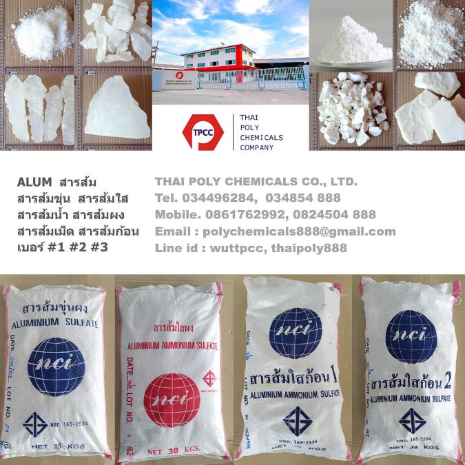 ลงประกาศฟรี ลงประกาศ  เพิ่มเว็บ  โฆษณาฟรี  ประกาศซื้อขายฟรีี  โปรโมทเว็บ ลงโฆษณาฟรี โปรโมทเว็บฟรี ประกาศซื้อขาย เพิ่มเว็บฟรี