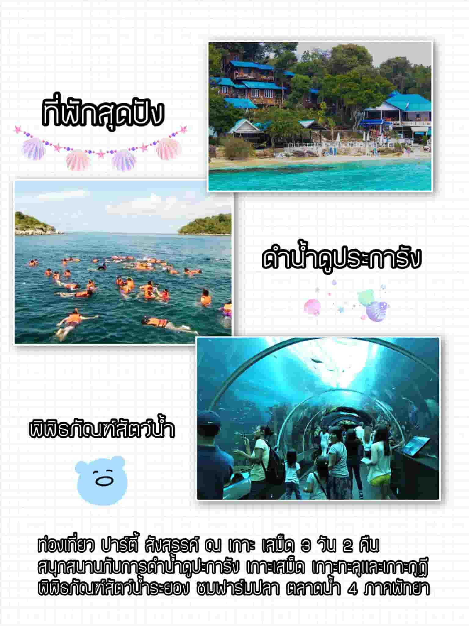 เที่ยวเกาะเสม็ด