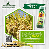 ลงประกาศฟรี ลงประกาศ  เพิ่มเว็บ  โฆษณาฟรี  ประกาศซื้อขายฟรีี  โปรโมทเว็บ ลงโฆษณาฟรี โปรโมทเว็บฟรี ประกาศซื้อขาย เพิ่มเว็บฟรี