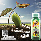 ลงประกาศฟรี ลงประกาศ  เพิ่มเว็บ  โฆษณาฟรี  ประกาศซื้อขายฟรีี  โปรโมทเว็บ ลงโฆษณาฟรี โปรโมทเว็บฟรี ประกาศซื้อขาย เพิ่มเว็บฟรี