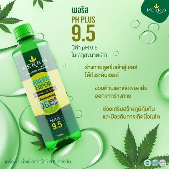 ลงประกาศฟรี ลงประกาศ  เพิ่มเว็บ  โฆษณาฟรี  ประกาศซื้อขายฟรีี  โปรโมทเว็บ ลงโฆษณาฟรี โปรโมทเว็บฟรี ประกาศซื้อขาย เพิ่มเว็บฟรี