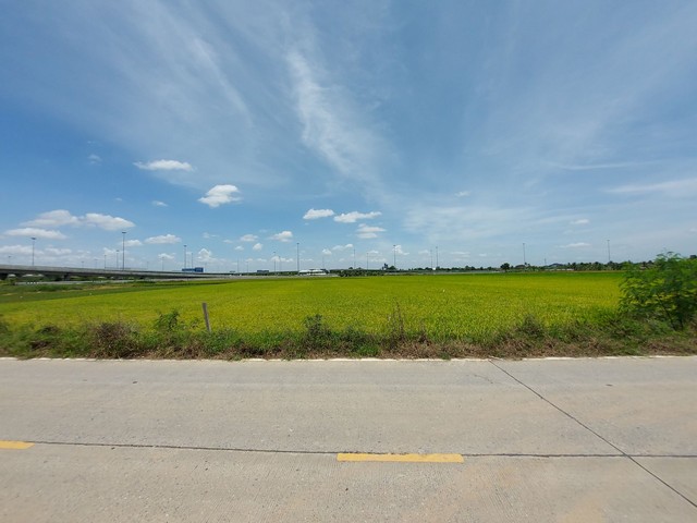 ที่ดิน บางเดื่อ ปทุมธานี