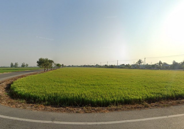 ลงประกาศฟรี ลงประกาศ  เพิ่มเว็บ  โฆษณาฟรี  ประกาศซื้อขายฟรีี  โปรโมทเว็บ ลงโฆษณาฟรี โปรโมทเว็บฟรี ประกาศซื้อขาย เพิ่มเว็บฟรี