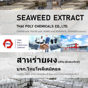 ลงประกาศฟรี ลงประกาศ  เพิ่มเว็บ  โฆษณาฟรี  ประกาศซื้อขายฟรีี  โปรโมทเว็บ ลงโฆษณาฟรี โปรโมทเว็บฟรี ประกาศซื้อขาย เพิ่มเว็บฟรี