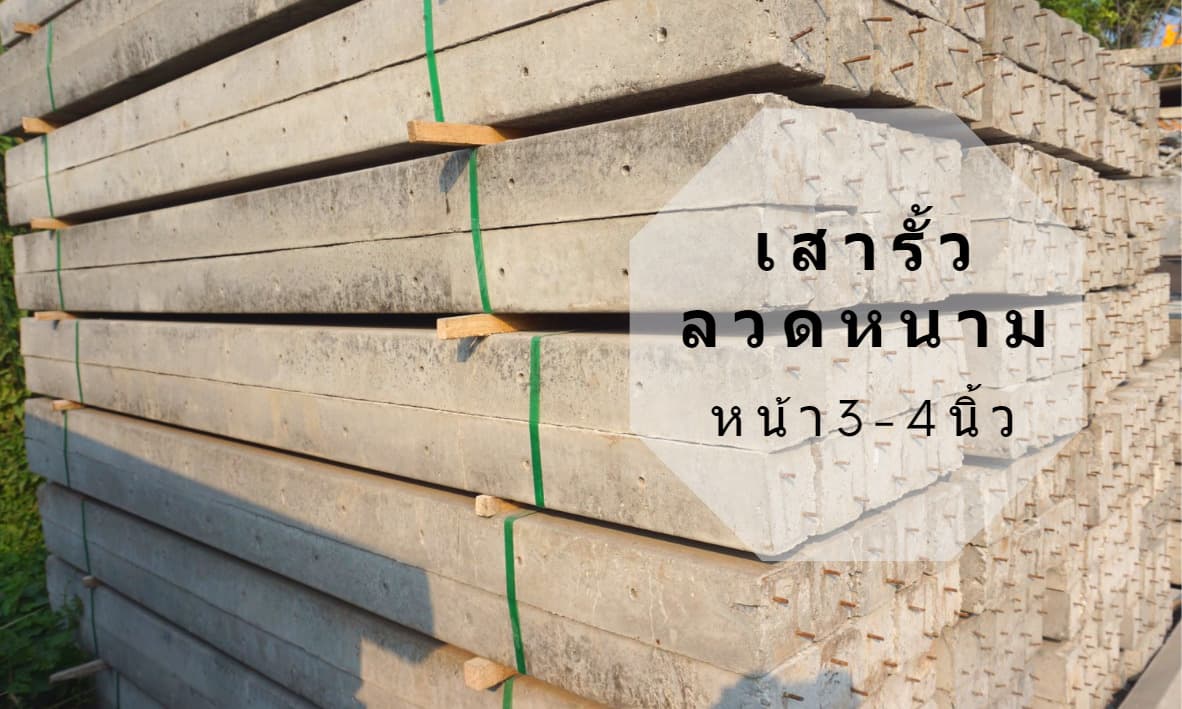 ลงประกาศฟรี ลงประกาศ  เพิ่มเว็บ  โฆษณาฟรี  ประกาศซื้อขายฟรีี  โปรโมทเว็บ ลงโฆษณาฟรี โปรโมทเว็บฟรี ประกาศซื้อขาย เพิ่มเว็บฟรี