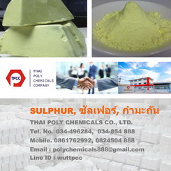 ลงประกาศฟรี ลงประกาศ  เพิ่มเว็บ  โฆษณาฟรี  ประกาศซื้อขายฟรีี  โปรโมทเว็บ ลงโฆษณาฟรี โปรโมทเว็บฟรี ประกาศซื้อขาย เพิ่มเว็บฟรี