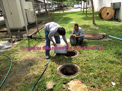 ดูดส้วม