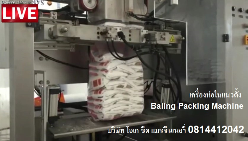 เครื่องบรรจุถุงออโตเมชั่น