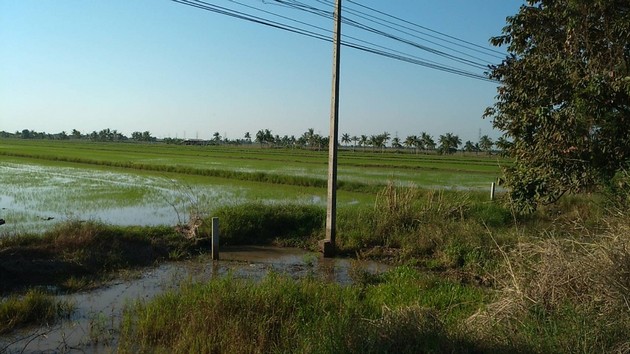 ลงประกาศฟรี ลงประกาศ  เพิ่มเว็บ  โฆษณาฟรี  ประกาศซื้อขายฟรีี  โปรโมทเว็บ ลงโฆษณาฟรี โปรโมทเว็บฟรี ประกาศซื้อขาย เพิ่มเว็บฟรี