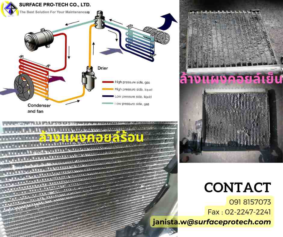 ลงประกาศฟรี ลงประกาศ  เพิ่มเว็บ  โฆษณาฟรี  ประกาศซื้อขายฟรีี  โปรโมทเว็บ ลงโฆษณาฟรี โปรโมทเว็บฟรี ประกาศซื้อขาย เพิ่มเว็บฟรี