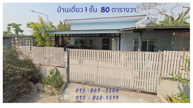 ลงประกาศฟรี ลงประกาศ  เพิ่มเว็บ  โฆษณาฟรี  ประกาศซื้อขายฟรีี  โปรโมทเว็บ ลงโฆษณาฟรี โปรโมทเว็บฟรี ประกาศซื้อขาย เพิ่มเว็บฟรี