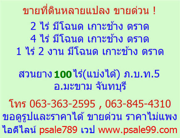 ลงประกาศฟรี ลงประกาศ  เพิ่มเว็บ  โฆษณาฟรี  ประกาศซื้อขายฟรีี  โปรโมทเว็บ ลงโฆษณาฟรี โปรโมทเว็บฟรี ประกาศซื้อขาย เพิ่มเว็บฟรี