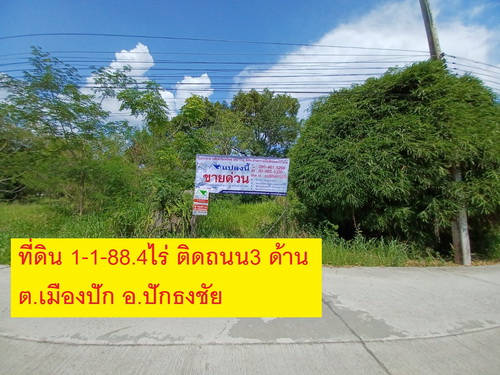 ลงประกาศฟรี ลงประกาศ  เพิ่มเว็บ  โฆษณาฟรี  ประกาศซื้อขายฟรีี  โปรโมทเว็บ ลงโฆษณาฟรี โปรโมทเว็บฟรี ประกาศซื้อขาย เพิ่มเว็บฟรี