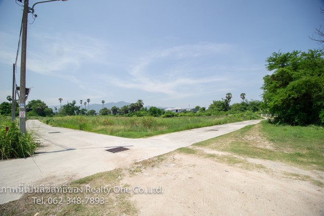 ที่ดิน