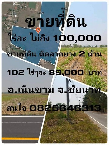 ลงประกาศฟรี ลงประกาศ  เพิ่มเว็บ  โฆษณาฟรี  ประกาศซื้อขายฟรีี  โปรโมทเว็บ ลงโฆษณาฟรี โปรโมทเว็บฟรี ประกาศซื้อขาย เพิ่มเว็บฟรี