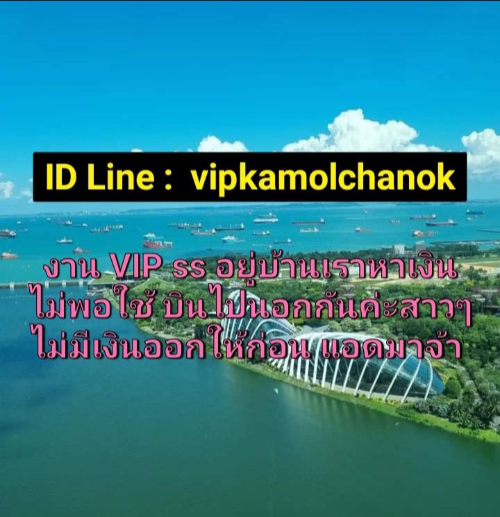 ลงประกาศฟรี ลงประกาศ  เพิ่มเว็บ  โฆษณาฟรี  ประกาศซื้อขายฟรีี  โปรโมทเว็บ ลงโฆษณาฟรี โปรโมทเว็บฟรี ประกาศซื้อขาย เพิ่มเว็บฟรี