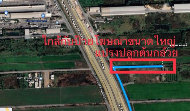 ลงประกาศฟรี ลงประกาศ  เพิ่มเว็บ  โฆษณาฟรี  ประกาศซื้อขายฟรีี  โปรโมทเว็บ ลงโฆษณาฟรี โปรโมทเว็บฟรี ประกาศซื้อขาย เพิ่มเว็บฟรี