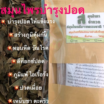 ลงประกาศฟรี ลงประกาศ  เพิ่มเว็บ  โฆษณาฟรี  ประกาศซื้อขายฟรีี  โปรโมทเว็บ ลงโฆษณาฟรี โปรโมทเว็บฟรี ประกาศซื้อขาย เพิ่มเว็บฟรี