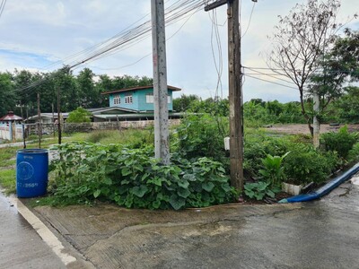 ลงประกาศฟรี ลงประกาศ  เพิ่มเว็บ  โฆษณาฟรี  ประกาศซื้อขายฟรีี  โปรโมทเว็บ ลงโฆษณาฟรี โปรโมทเว็บฟรี ประกาศซื้อขาย เพิ่มเว็บฟรี