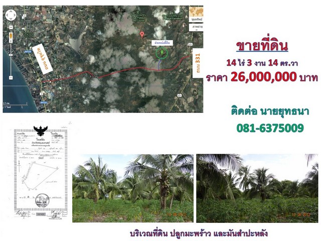 ที่ดิน