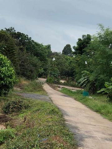 ที่ดิน