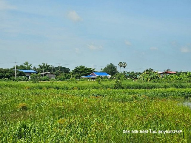 ลงประกาศฟรี ลงประกาศ  เพิ่มเว็บ  โฆษณาฟรี  ประกาศซื้อขายฟรีี  โปรโมทเว็บ ลงโฆษณาฟรี โปรโมทเว็บฟรี ประกาศซื้อขาย เพิ่มเว็บฟรี