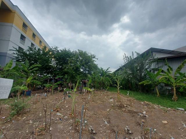 ที่ดิน