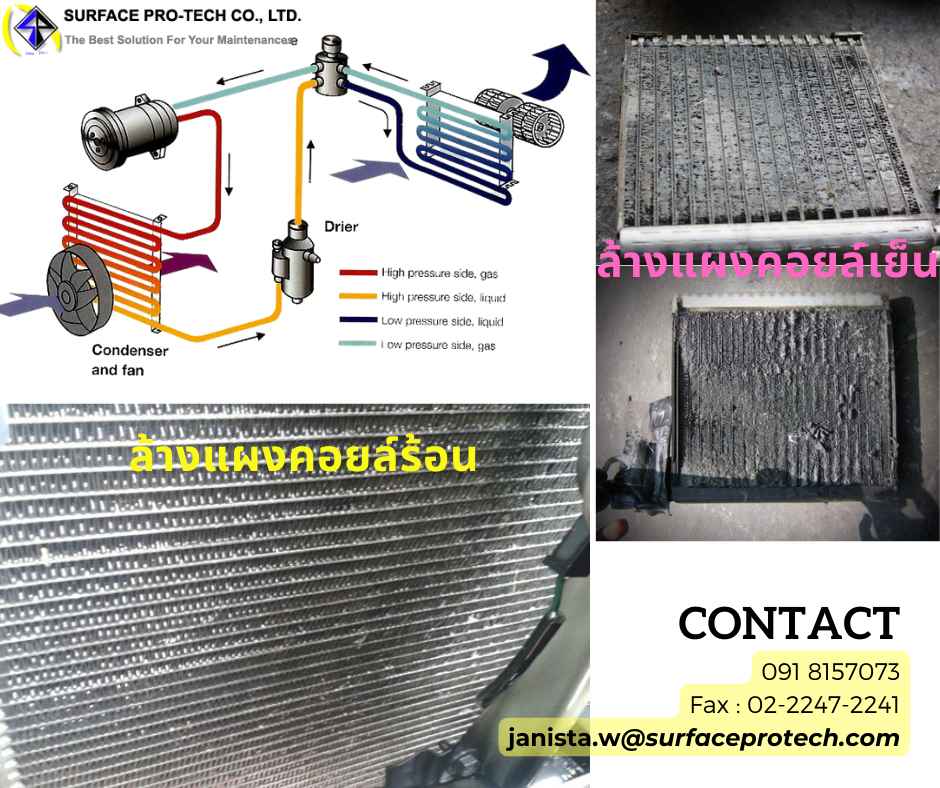 ลงประกาศฟรี ลงประกาศ  เพิ่มเว็บ  โฆษณาฟรี  ประกาศซื้อขายฟรีี  โปรโมทเว็บ ลงโฆษณาฟรี โปรโมทเว็บฟรี ประกาศซื้อขาย เพิ่มเว็บฟรี