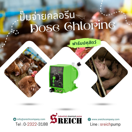 ลงประกาศฟรี ลงประกาศ  เพิ่มเว็บ  โฆษณาฟรี  ประกาศซื้อขายฟรีี  โปรโมทเว็บ ลงโฆษณาฟรี โปรโมทเว็บฟรี ประกาศซื้อขาย เพิ่มเว็บฟรี