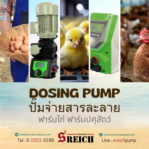 ลงประกาศฟรี ลงประกาศ  เพิ่มเว็บ  โฆษณาฟรี  ประกาศซื้อขายฟรีี  โปรโมทเว็บ ลงโฆษณาฟรี โปรโมทเว็บฟรี ประกาศซื้อขาย เพิ่มเว็บฟรี