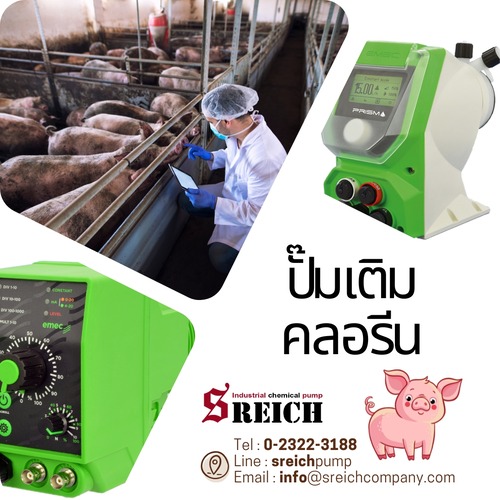 ลงประกาศฟรี ลงประกาศ  เพิ่มเว็บ  โฆษณาฟรี  ประกาศซื้อขายฟรีี  โปรโมทเว็บ ลงโฆษณาฟรี โปรโมทเว็บฟรี ประกาศซื้อขาย เพิ่มเว็บฟรี