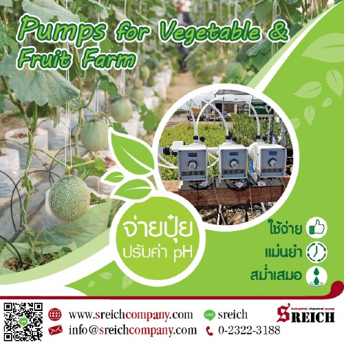 ลงประกาศฟรี ลงประกาศ  เพิ่มเว็บ  โฆษณาฟรี  ประกาศซื้อขายฟรีี  โปรโมทเว็บ ลงโฆษณาฟรี โปรโมทเว็บฟรี ประกาศซื้อขาย เพิ่มเว็บฟรี