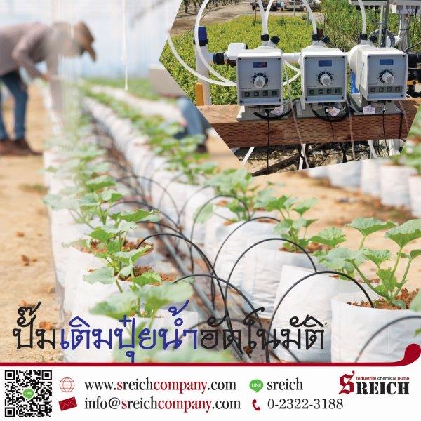 ลงประกาศฟรี ลงประกาศ  เพิ่มเว็บ  โฆษณาฟรี  ประกาศซื้อขายฟรีี  โปรโมทเว็บ ลงโฆษณาฟรี โปรโมทเว็บฟรี ประกาศซื้อขาย เพิ่มเว็บฟรี