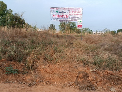 ลงประกาศฟรี ลงประกาศ  เพิ่มเว็บ  โฆษณาฟรี  ประกาศซื้อขายฟรีี  โปรโมทเว็บ ลงโฆษณาฟรี โปรโมทเว็บฟรี ประกาศซื้อขาย เพิ่มเว็บฟรี