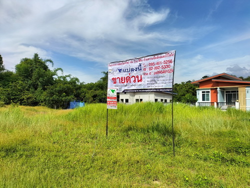 ลงประกาศฟรี ลงประกาศ  เพิ่มเว็บ  โฆษณาฟรี  ประกาศซื้อขายฟรีี  โปรโมทเว็บ ลงโฆษณาฟรี โปรโมทเว็บฟรี ประกาศซื้อขาย เพิ่มเว็บฟรี
