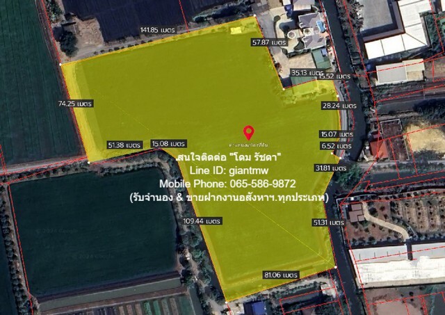 ที่ดิน